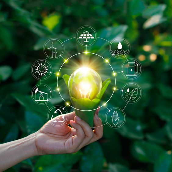 Serviços em Meio Ambiente e ESG